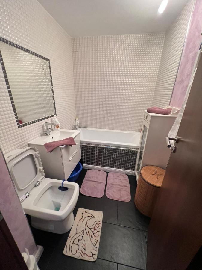 Duck Apartment ブカレスト エクステリア 写真